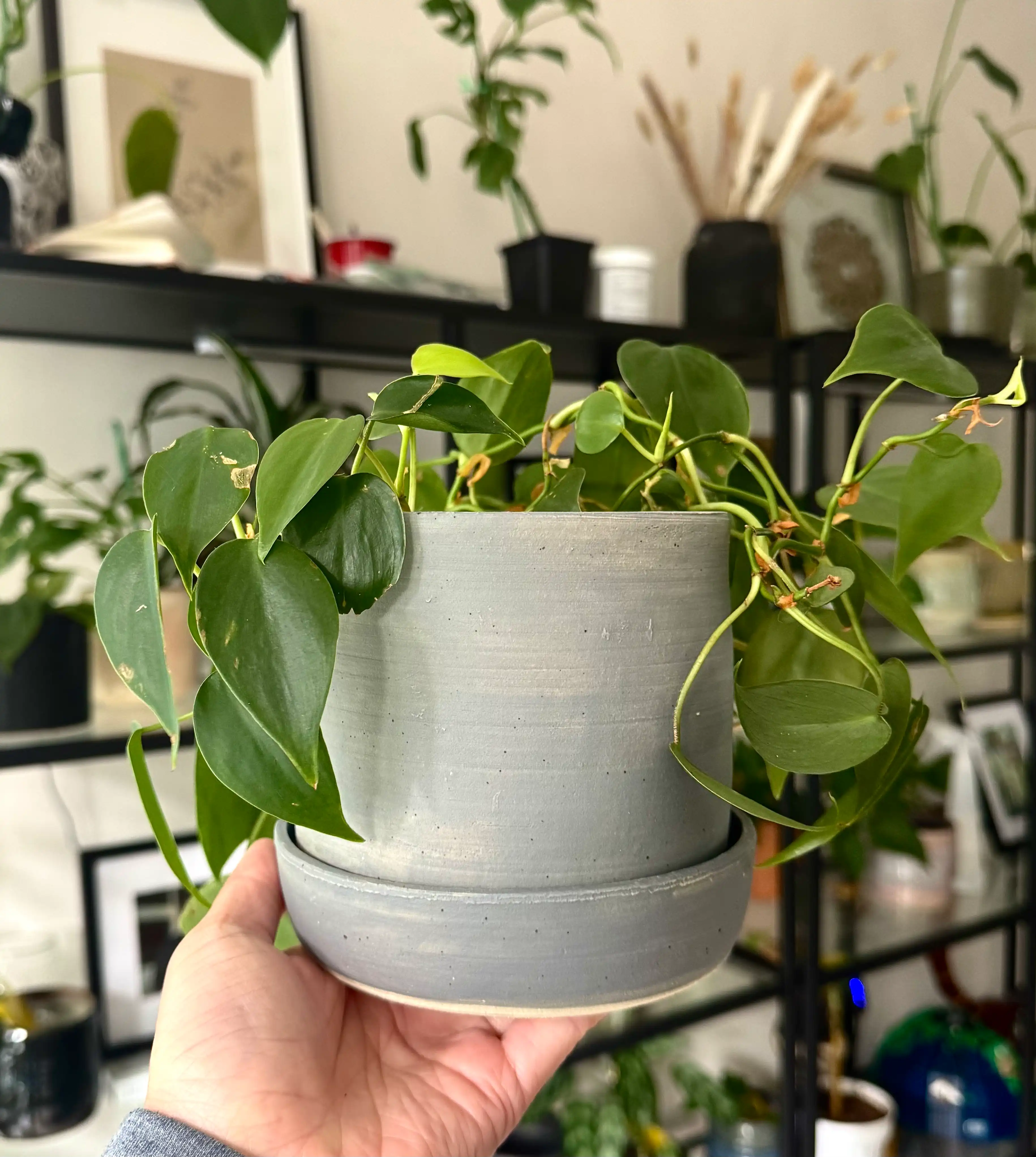 Description for the second image